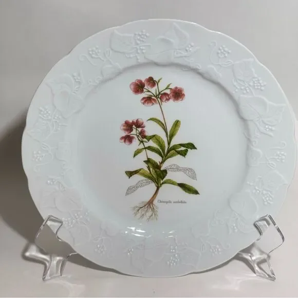 Vintage Dansk Ivy Chimapila Umbellata  9 3/4 " Luncheon Plate - Picture 2 of 5